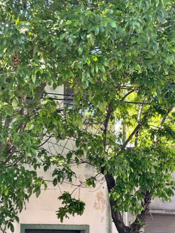 NUEVO VALOR, OPORTUNIDAD !!!! conjunto de PH y local , para demolicion O reciclado, apto nuevo proyecto multifiar o comercial, venta separada de local y ph, consulte todas las opciones