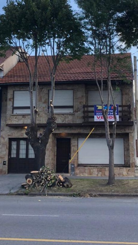 VENTA APTO LOCAL O EDIFICIO. CHALET CLASICO MDP, DE 6 AMBIENTES CON PATIO, PARRILLA, DESARROLLADO EN DOS PLANTAS, solo venta para proyecto comercial, o multifamiliar.