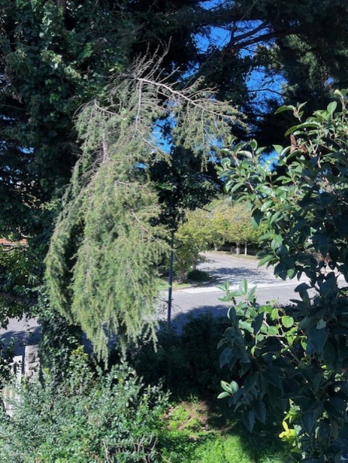 VENTA IMPORTANTE CHALET DE 5 AMB. GARAJE, PARQUE Y PISCINA, UBICADA EN ZONA DE PRIVILEGIO, A POCAS CUADRAS DE PLAYA GRANDE Y CENTRO COMERCIAL GUEMES