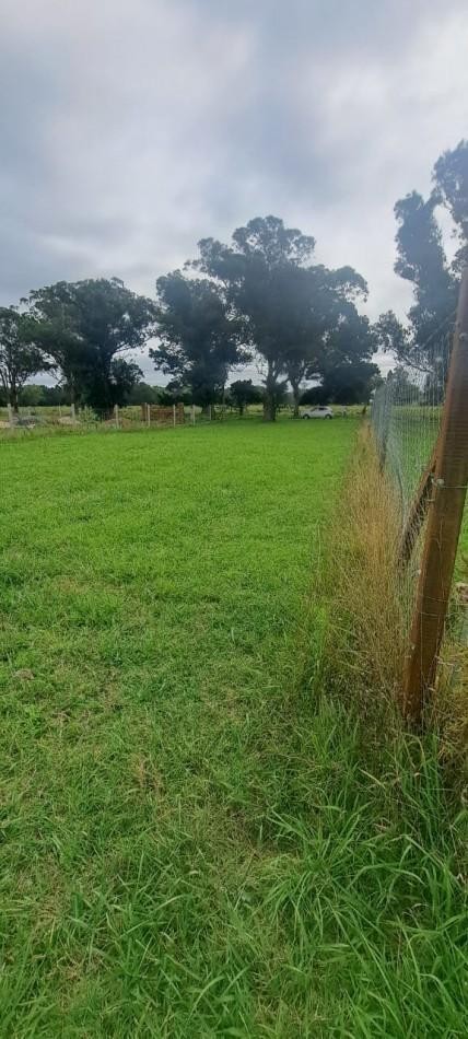 SUPER LOTE EN MAR CHIQUITA !!! CALLE SANTOS Y MONTEVIDEO, A POCOS  METROS DE LA RUTA Y DEL MAR